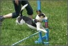 Agility po třetí